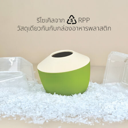 กล่องทิชชู QUALY ดีไซน์มะพร้าว สีเขียว_8